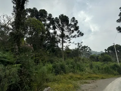 Fazenda/Sítio à venda, 20000m² no , Urubici