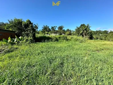 Lote/Terreno à venda, 20000m² no Barra São João, Benedito Novo