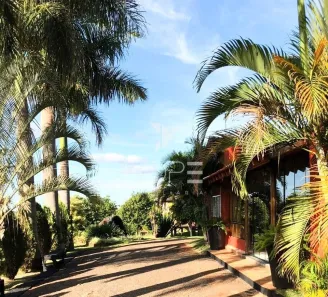 Fazenda/Sítio com 5 Quartos à venda, 500m² no , Londrina