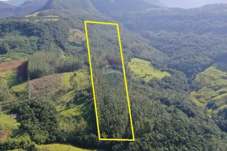 Fazenda/Sítio à venda, 278000m² no Comunidade do Engenho Velho, Jacinto Machado