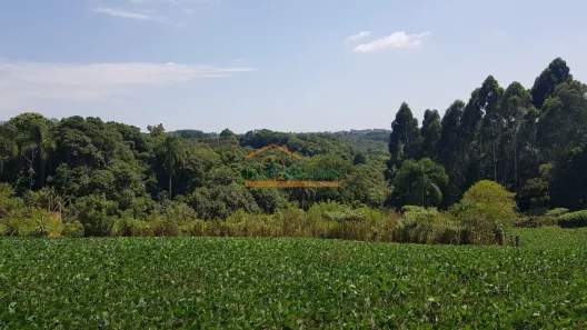 Lote/Terreno à venda, 12451m² no Jardim Florestal, Campo Largo