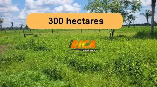 Fazenda/Sítio com 2 Quartos à venda, 3000000m² no , Humaitá