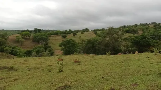 Fazenda/Sítio à venda, 1392000m² no , Rio Quente