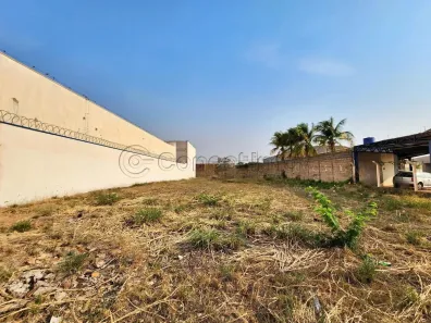 Lote/Terreno para alugar, 1762m² no Independência, Ribeirão Preto
