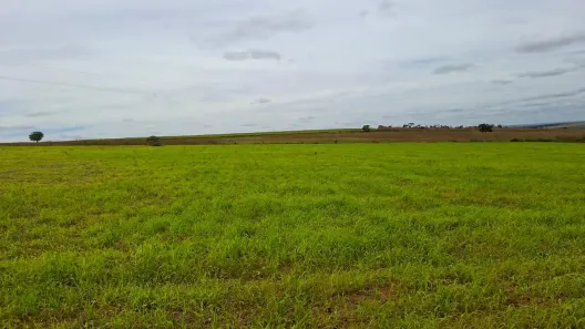 Fazenda/Sítio à venda, 60000m² no Área Rural do Paranoá, Brasília
