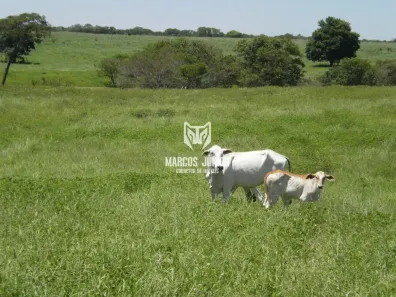Fazenda/Sítio à venda, 1m² no , Manga