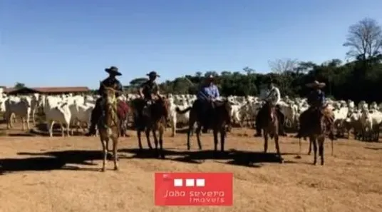 Fazenda/Sítio com 20 Quartos à venda, 745819800m² no , Rondolândia