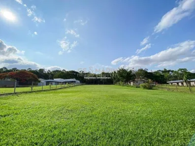 Lote/Terreno à venda, 2500m² no Jardim Santa Adelaide, Cambé
