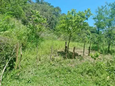 Lote/Terreno à venda, 30000m² no Área Rural de Biguaçu, Biguaçu
