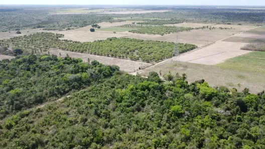 Fazenda/Sítio com 3 Quartos à venda, 1300000m² no , Rio do Fogo