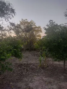 Lote/Terreno à venda, 1211m² no Terras de Camapuã, Araçoiaba da Serra