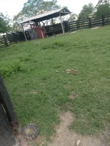 Fazenda/Sítio à venda, 4345240m² no , Porto Murtinho