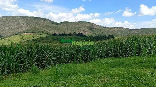 Fazenda/Sítio à venda, 265400m² no Centro, Três Corações