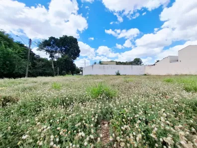 Lote/Terreno para alugar, 666m² no Parque Residencial Lagoinha, Ribeirão Preto