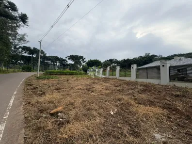 Fazenda/Sítio à venda, 1082m² no Glória, Garibaldi
