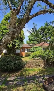 Casa com 3 Quartos à venda, 144m² no Suzana, Canela