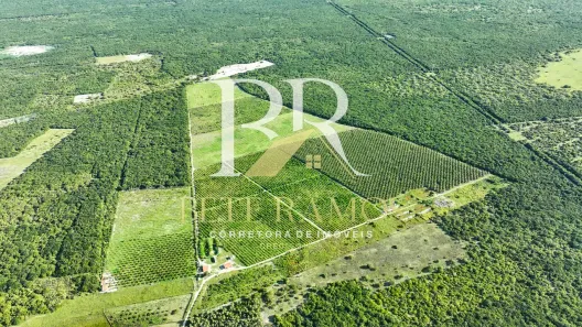 Lote/Terreno à venda, 830000m² no , Fortim