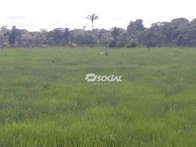 Fazenda/Sítio à venda, 1740000m² no Área Rural de Porto Velho, Porto Velho
