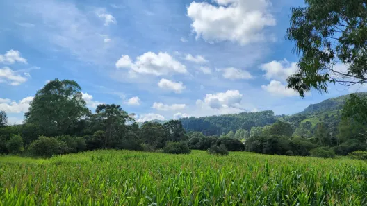 Fazenda/Sítio à venda, 20m² no , Bocaina do Sul