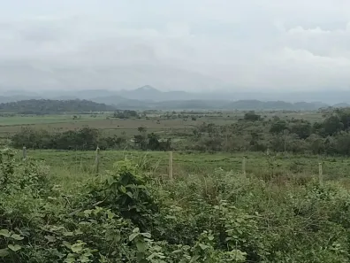 Fazenda/Sítio à venda, 532400m² no , Araruama