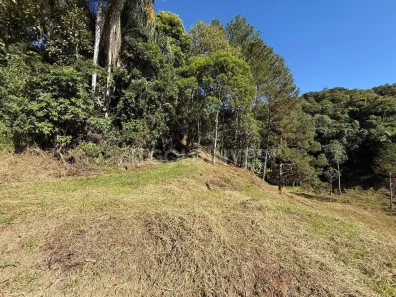 Lote/Terreno à venda, 4200m² no Planície Alta, Guabiruba
