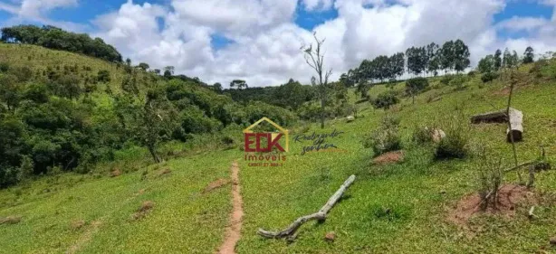 Lote/Terreno à venda, 290400m² no , Cunha