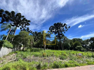 Lote/Terreno à venda, 1025m² no Alphaville Graciosa, Pinhais