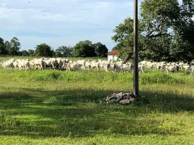 com 3 Quartos à venda, 139m² no , Aruanã