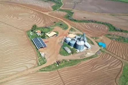 à venda, 8000000m² no Centro, Alegrete