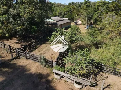 Fazenda/Sítio com 3 Quartos à venda, 452980m² no , Miracema do Tocantins