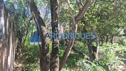 Lote/Terreno à venda, 5200m² no Itacimirim (Monte Gordo), Camaçari