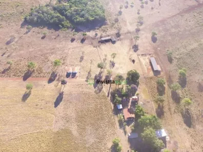 Fazenda/Sítio à venda, 3459m² no Centro, Pium
