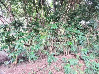 Lote/Terreno à venda, 1025m² no Buracão, Vinhedo