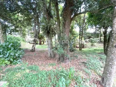 Lote/Terreno à venda, 1078m² no Ipê Amarelo, Gramado