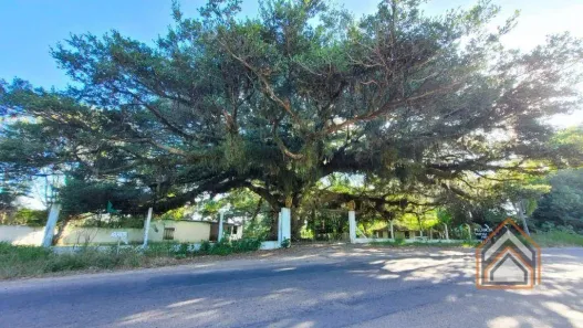 Fazenda/Sítio com 1 Quarto à venda, 8600m² no Aparecida, Alvorada