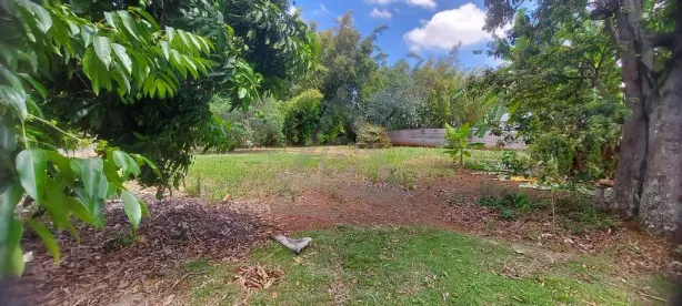 Lote/Terreno à venda, 1605m² no Jardim Chapadão, Campinas