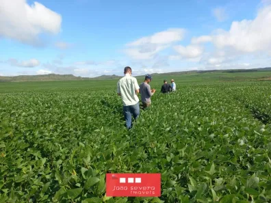 Fazenda/Sítio à venda, 325000000m² no , Balsas