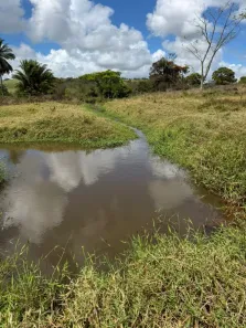 Fazenda/Sítio à venda, 140000m² no , Flexeiras