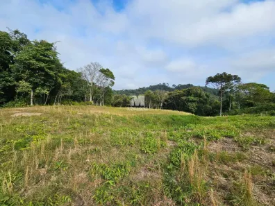 Fazenda/Sítio à venda, 3186m² no Santa Luzia, Brusque