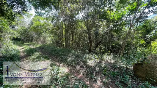 Lote/Terreno à venda, 4110m² no Araras, Petrópolis
