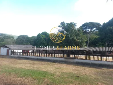 Fazenda/Sítio com 5 Quartos à venda, 31m² no Centro, Goianira