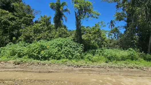 Lote/Terreno à venda, 750m² no Praia das Palmeiras, Caraguatatuba