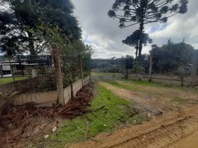 Fazenda/Sítio à venda, 8000m² no Campina do Taquaral, São José dos Pinhais