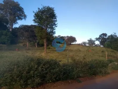 Imóvel Comercial à venda, 18650m² no São Domingos, Paulínia