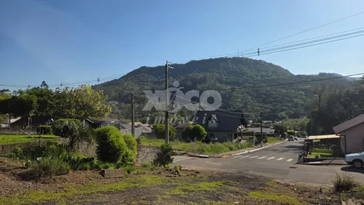 Fazenda/Sítio com 1 Quarto à venda, 53000m² no Centro, Picada Café