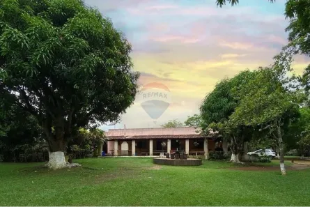 Fazenda/Sítio com 3 Quartos à venda, 29000m² no Recanto das Emas, Brasília