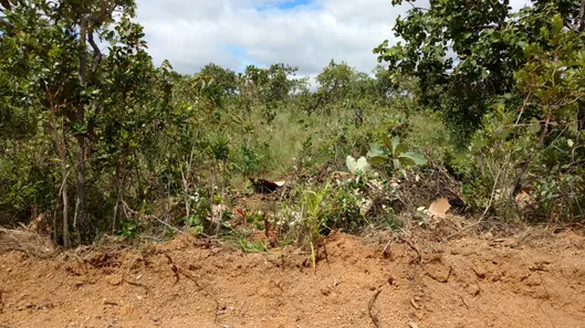 Lote/Terreno à venda, 1000m² no Novo Santos Dumont, Lagoa Santa