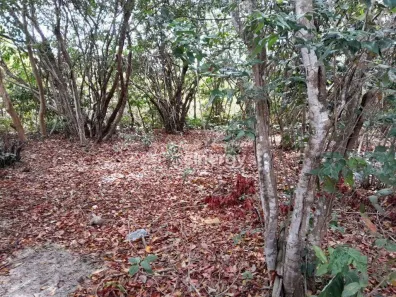 Lote/Terreno à venda, 704m² no Praia da Pipa, Tibau do Sul