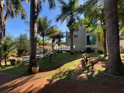 Fazenda/Sítio com 3 Quartos para alugar, 500m² no Shopping Park, Uberlândia