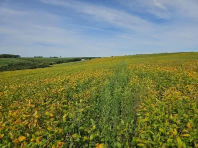 Fazenda/Sítio com 3 Quartos à venda, 2855600m² no Edilândia, Cocalzinho de Goiás